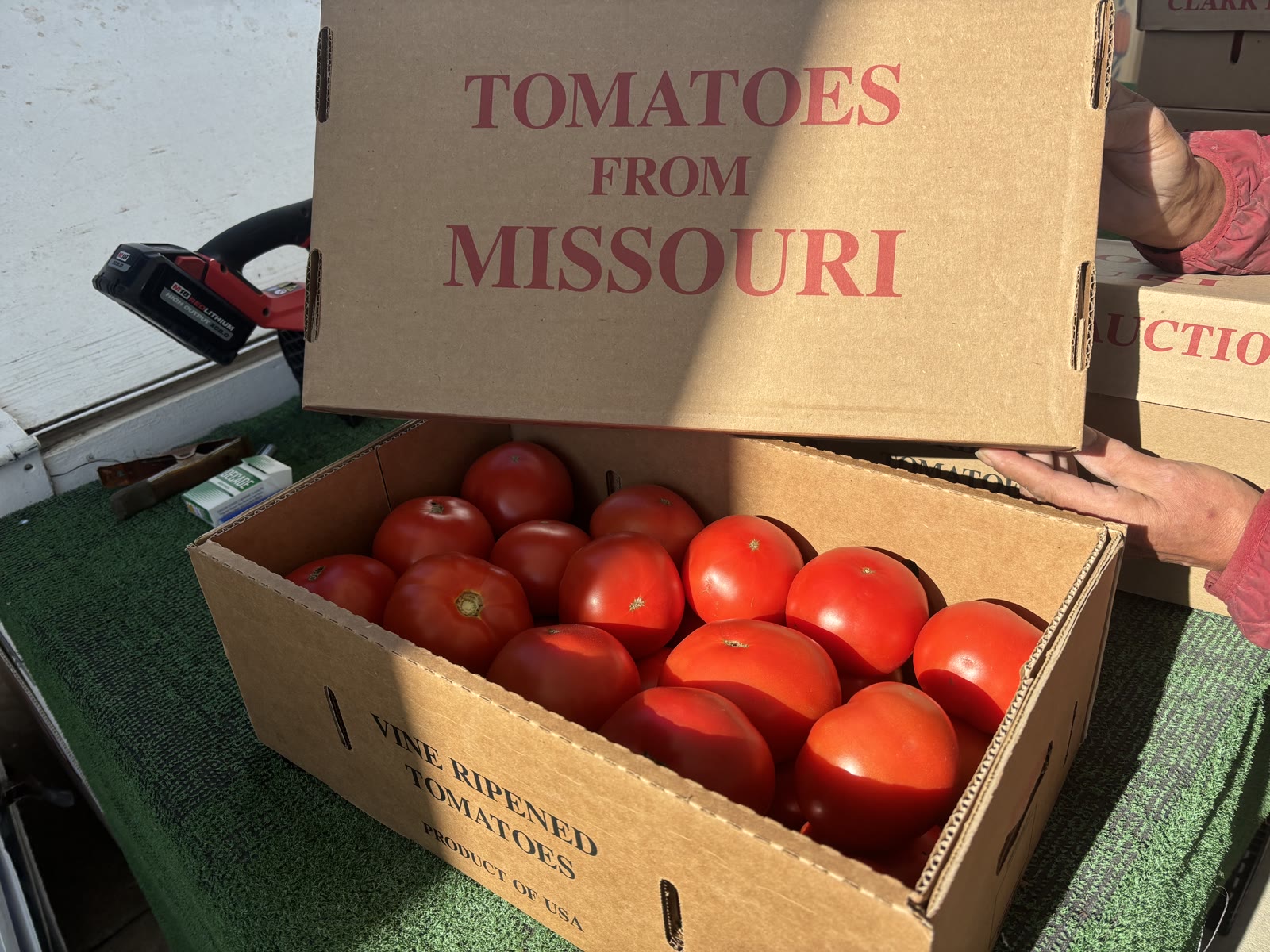 Crate of fresh local tomatoes, just delivered to Everyday Produce Market
