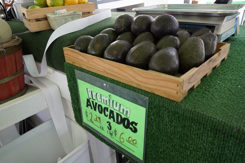 Premium avocados