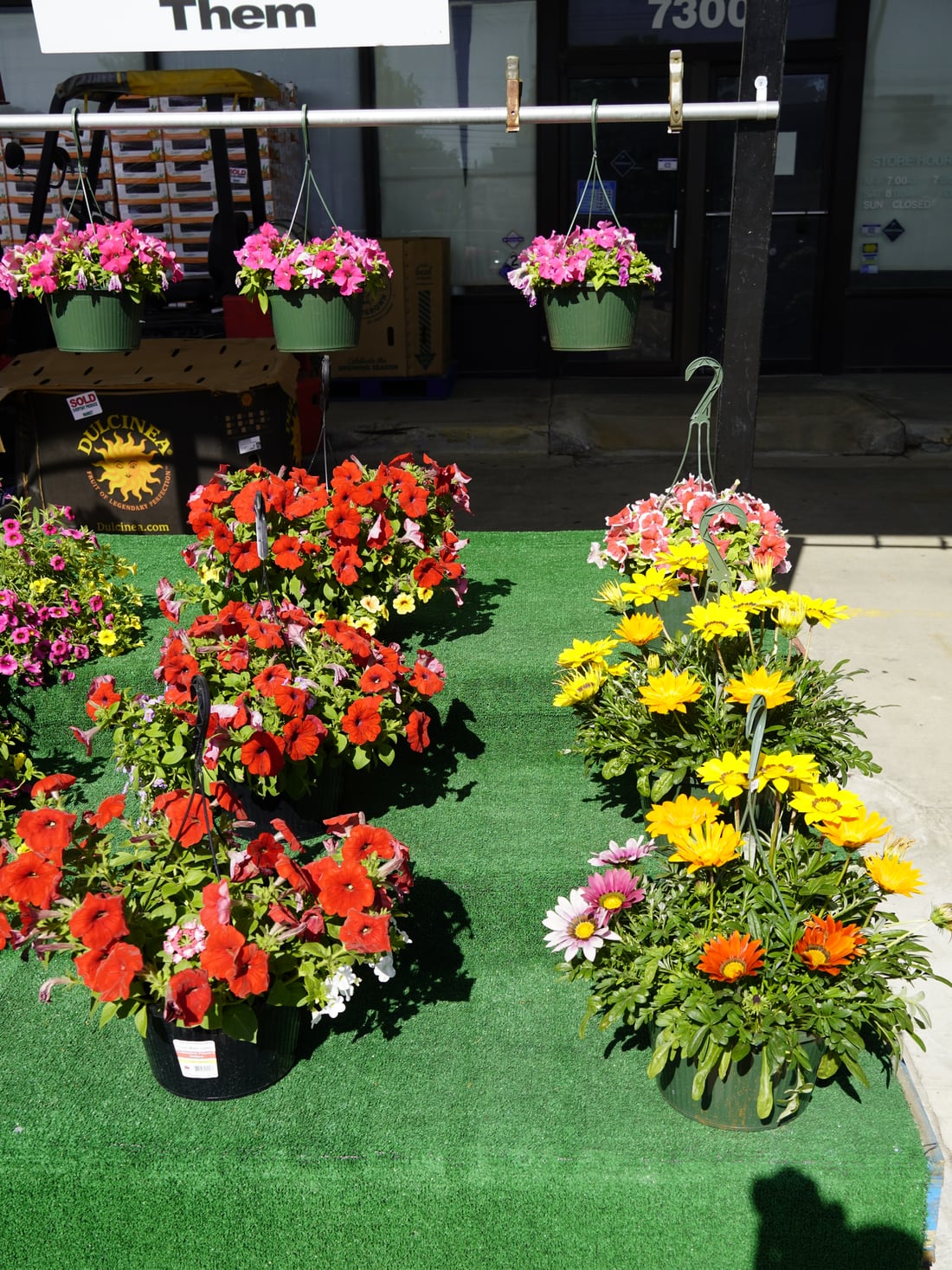 Petunias and gazanias in front of the storefront at 7300 Wornall