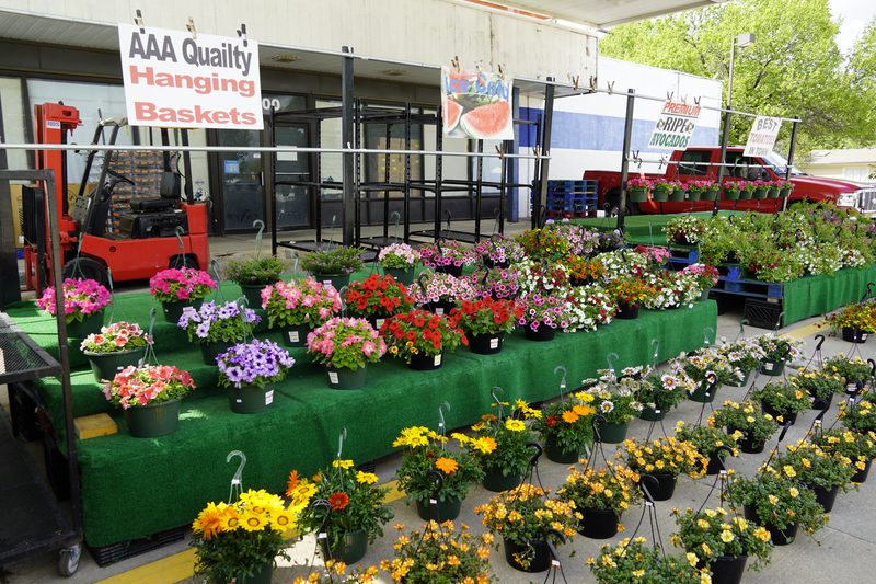 Beautiful hanging flower baskets