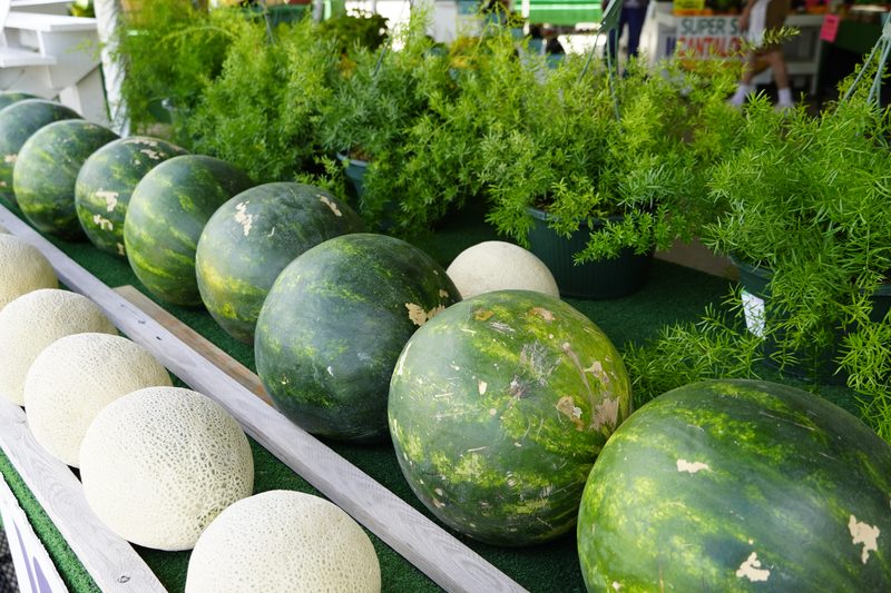 Watermelons and cantaloupes