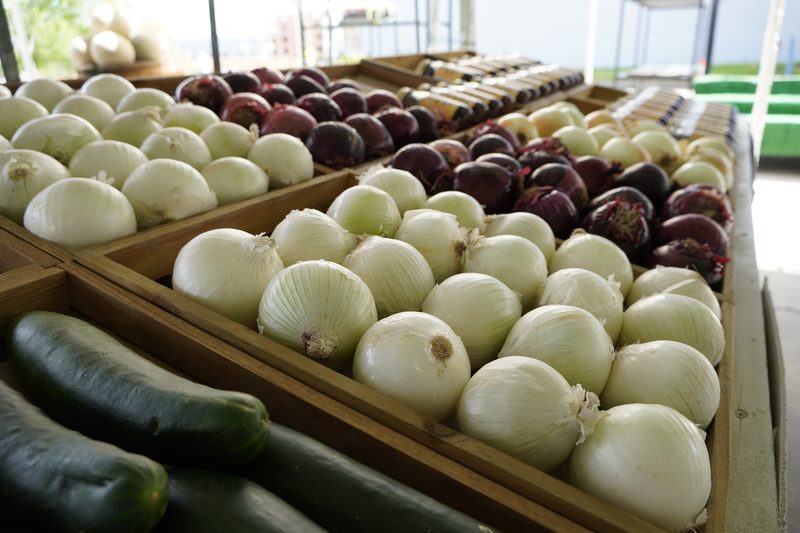 Fresh onions and zucchini