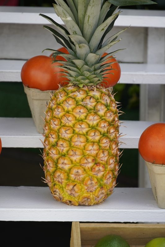 Golden pineapple with oranges