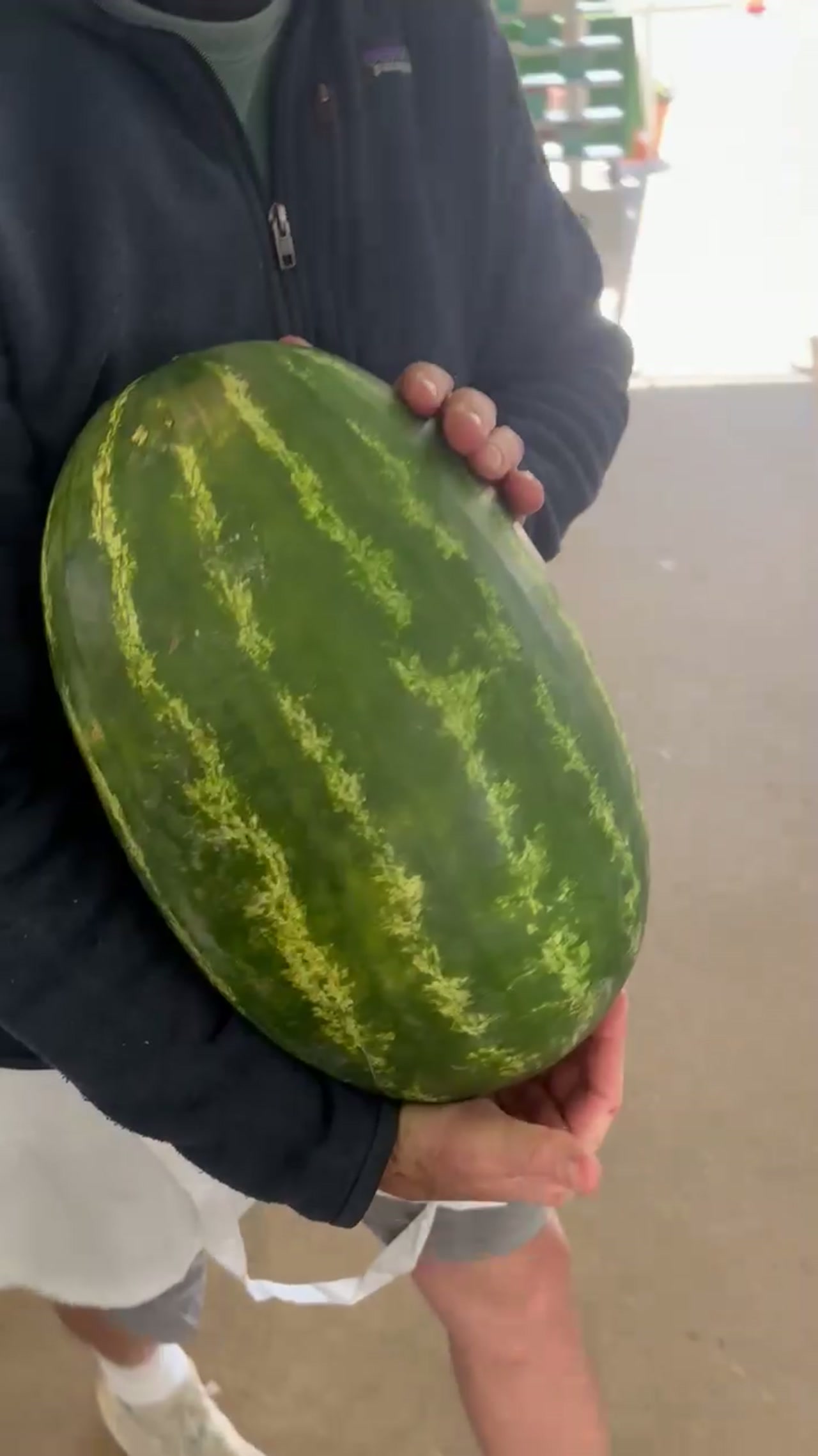 Fresh watermelon on display at Everyday Produce Market