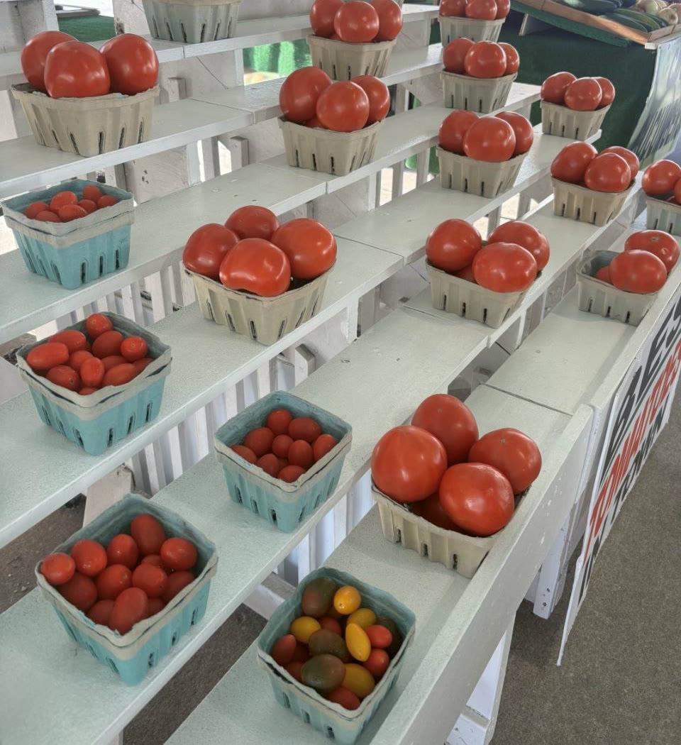 Baskets of ripe red tomatoes arranged on white shelves at the stand.