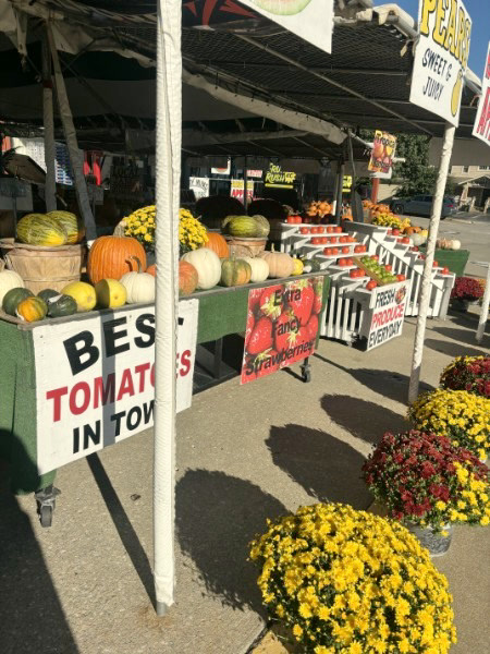 Yellow and burgundy hardy mums beside pumpkins, gourds, and produce bins.