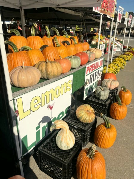 Rows of orange pumpkins and multicolored gourds under the stand's awning.